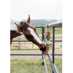 Rustgevend houten speeltje Grooming Deluxe met zoutsteen Luchtweg Rustgevend houten speeltje Grooming Deluxe met zoutsteen Luchtweg