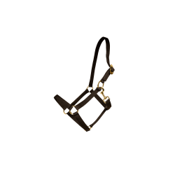 Nylon Halster Kentucky