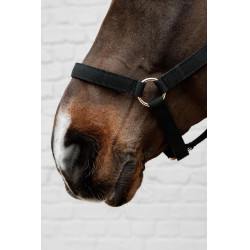 Nylon Halster Kentucky Zwart