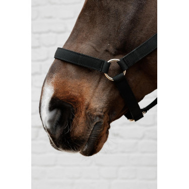 Nylon Halster Kentucky Nylon Halster Kentucky