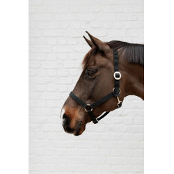 Nylon Halster Kentucky Zwart