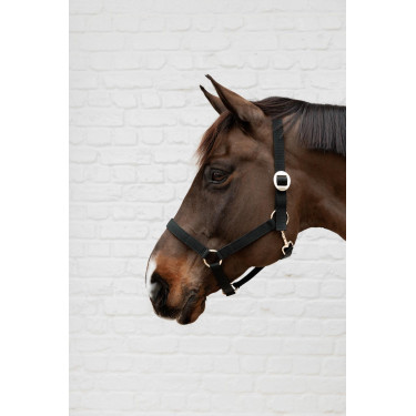 Nylon Halster Kentucky Nylon Halster Kentucky