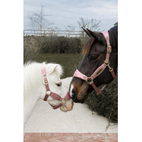 Halster Velvet Glitter Eenhoorn Kentucky Oudroze