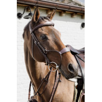 Hybride Neusriem Dy'on New English Collection Zwart