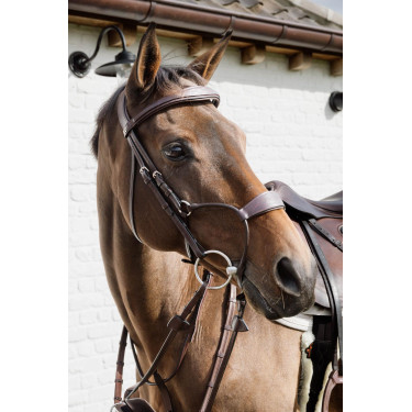 Hybride Neusriem Dy'on New English Collection Bruin