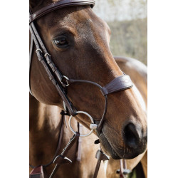 Hybride Neusriem Dy'on New English Collection Bruin