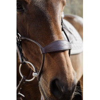 Hybride Neusriem Dy'on New English Collection Zwart