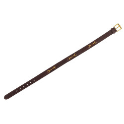 Riem Riding World Olijftrens Riem Riding World Olijftrens