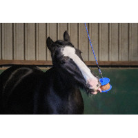 Likit Granola Light Snacks Likit Granola Light Snacks