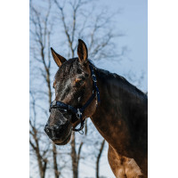 UV-bescherming neus Equithème UV-bescherming neus Equithème