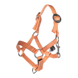 Halster en halstertouw HKM Hobby Horsing Basic Oranje Halster en halstertouw HKM Hobby Horsing Basic Oranje