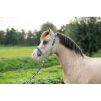 Halster HKM Barnie Rookblauw / roze Halster HKM Barnie Rookblauw / roze