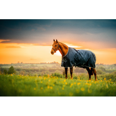 Horseware Amigo Ripstop 900D Pony Turnout 100g Deken Marine witney Marineblauw