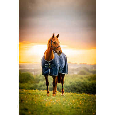 Horseware Amigo Ripstop 900D Poney Turnout 200g deken Marine witney Marineblauw