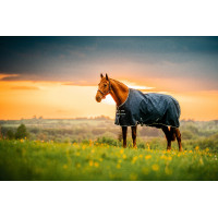 Horseware Amigo Ripstop 900D Pony Turnout 50g Deken Marine witney Marineblauw Horseware Amigo Ripstop 900D Pony Turnout 50g Deken Marine witney Marineblauw