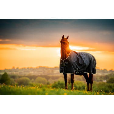 Horseware Amigo Ripstop 900D Turnout 100g deken Marine witney Marineblauw