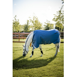 Horseware Ionic Therapy Turnout 100g deken Bleu imperial / argent /Marine Blauw Horseware Ionic Therapy Turnout 100g deken Bleu imperial / argent /Marine Blauw