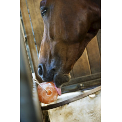 Hippotonic Himalaya zoutsteen Hippotonic Himalaya zoutsteen