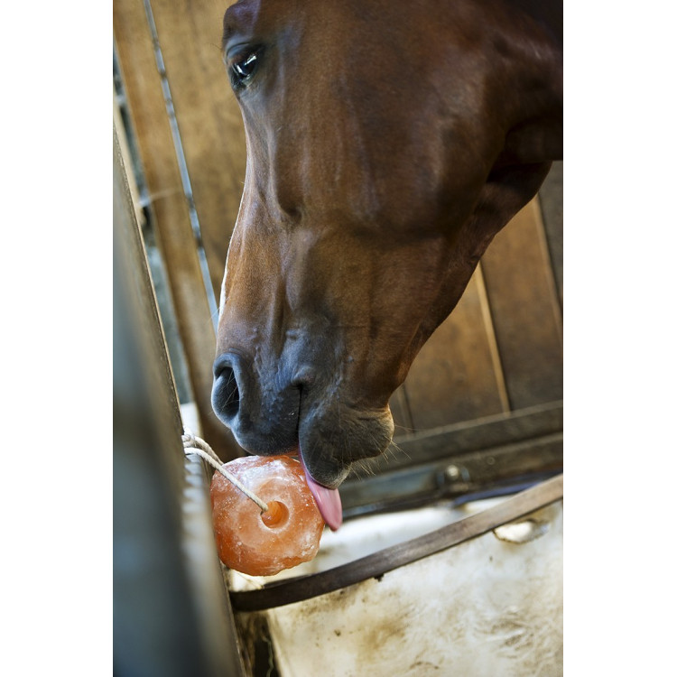 Hippotonic Himalaya zoutsteen Hippotonic Himalaya zoutsteen