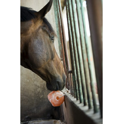 Hippotonic Himalaya zoutsteen Hippotonic Himalaya zoutsteen
