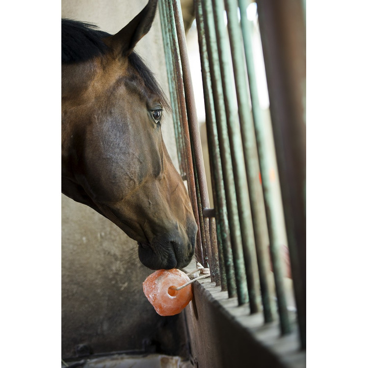 Hippotonic Himalaya zoutsteen Hippotonic Himalaya zoutsteen