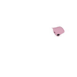 Zadeldoek LeMieux Toy Pony Bloesem Roze Zadeldoek LeMieux Toy Pony Bloesem Roze