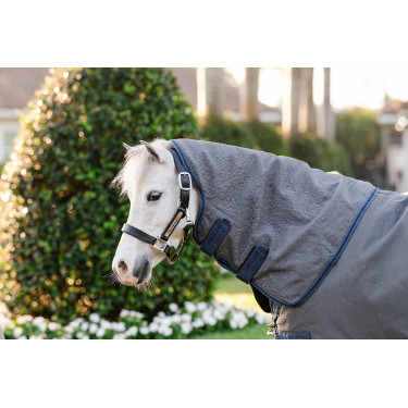 Horseware Rhino Hexstop Plus Pony Turnoutdeken 100g Horseware Rhino Hexstop Plus Pony Turnoutdeken 100g