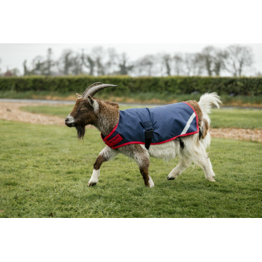 Horseware geiten deken 0g Horseware geiten deken 0g