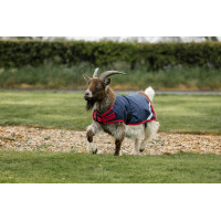 Horseware geiten deken 0g Marine / rood Blauw
