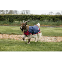 Horseware geiten deken 0g Marine / rood Blauw