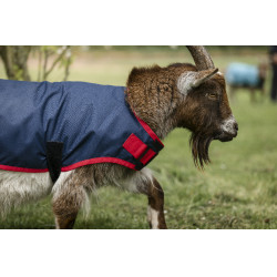 Horseware geiten deken 0g Marine / rood Blauw Horseware geiten deken 0g Marine / rood Blauw