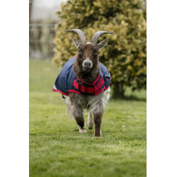 Horseware geiten deken 0g Marine / rood Blauw Horseware geiten deken 0g Marine / rood Blauw