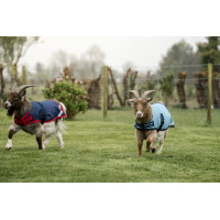 Horseware geiten deken 0g Marine / rood Blauw