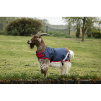 Horseware geiten deken 200g Marine / rood