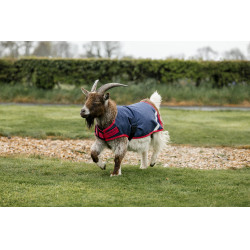Horseware geiten deken 200g Marine / rood Blauw Horseware geiten deken 200g Marine / rood Blauw