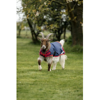 Horseware geiten deken 200g Marine / rood Blauw Horseware geiten deken 200g Marine / rood Blauw