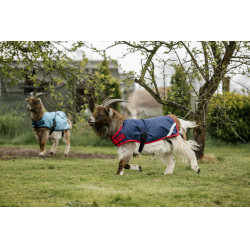 Horseware geiten deken 200g Horseware geiten deken 200g