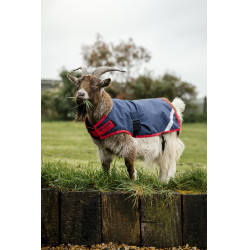 Horseware geiten deken 200g Marine / rood Blauw Horseware geiten deken 200g Marine / rood Blauw