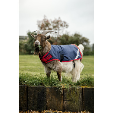 Horseware geiten deken 200g Horseware geiten deken 200g