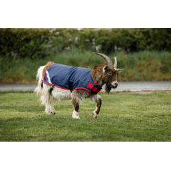 Horseware geiten deken 200g Marine / rood Blauw Horseware geiten deken 200g Marine / rood Blauw