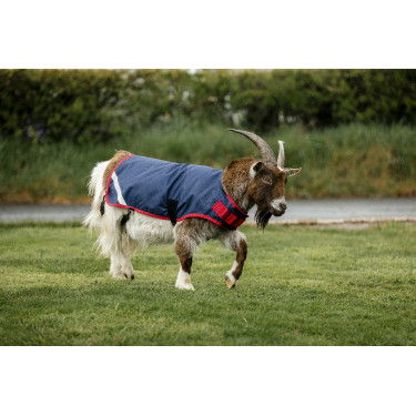Horseware geiten deken 200g Horseware geiten deken 200g