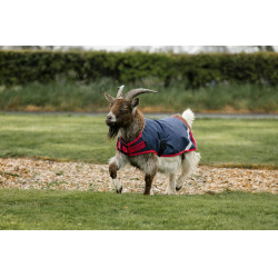 Horseware geiten deken 200g Marine / rood Blauw Horseware geiten deken 200g Marine / rood Blauw