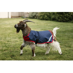 Horseware geiten deken 200g Marine / rood Blauw Horseware geiten deken 200g Marine / rood Blauw