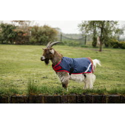 Horseware geiten deken 200g Marine / rood Blauw Horseware geiten deken 200g Marine / rood Blauw
