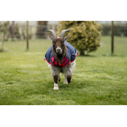 Horseware geiten deken 200g Marine / rood Blauw Horseware geiten deken 200g Marine / rood Blauw