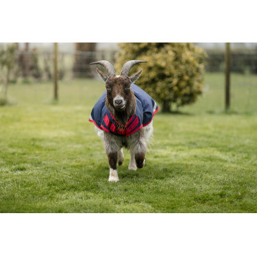 Horseware geiten deken 200g Horseware geiten deken 200g