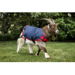 Horseware geiten deken 200g Marine / rood Blauw Horseware geiten deken 200g Marine / rood Blauw