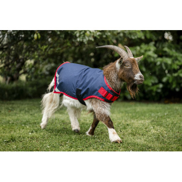 Horseware geiten deken 200g Horseware geiten deken 200g