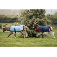 Horseware geiten deken 200g Marine / rood Blauw