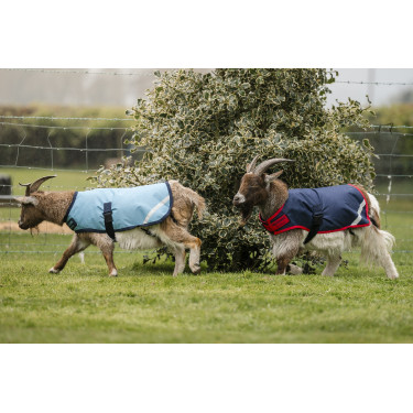 Horseware geiten deken 200g Horseware geiten deken 200g